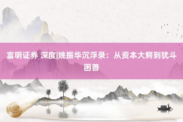 富明证券 深度|姚振华沉浮录：从资本大鳄到犹斗困兽