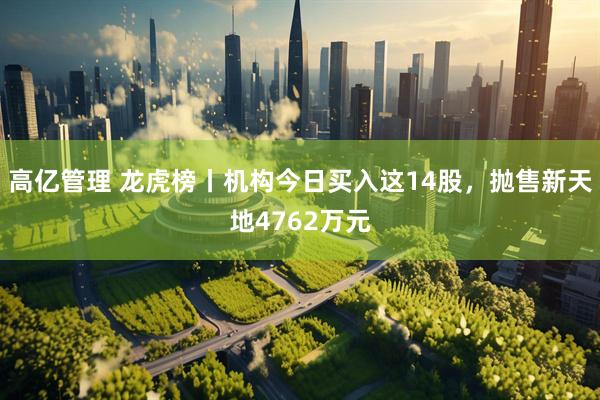 高亿管理 龙虎榜丨机构今日买入这14股，抛售新天地4762万元