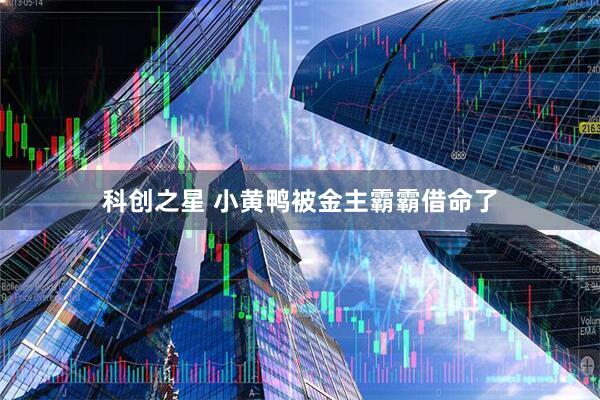 科创之星 小黄鸭被金主霸霸借命了