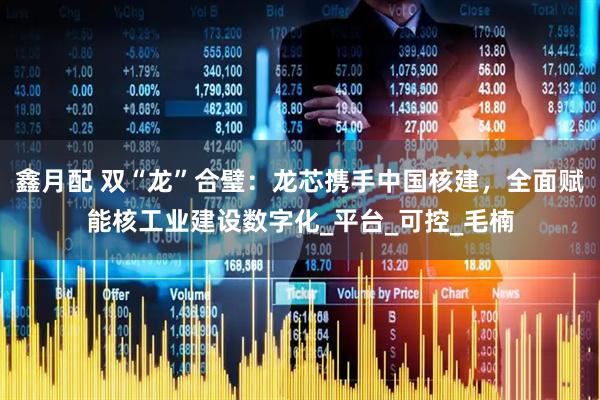 鑫月配 双“龙”合璧：龙芯携手中国核建，全面赋能核工业建设数字化_平台_可控_毛楠