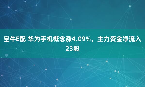 宝牛E配 华为手机概念涨4.09%，主力资金净流入23股