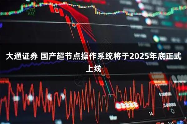 大通证券 国产超节点操作系统将于2025年底正式上线