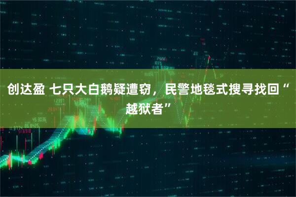 创达盈 七只大白鹅疑遭窃，民警地毯式搜寻找回“越狱者”