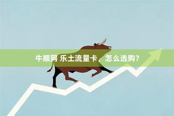 牛顺网 乐土流量卡，怎么选购？