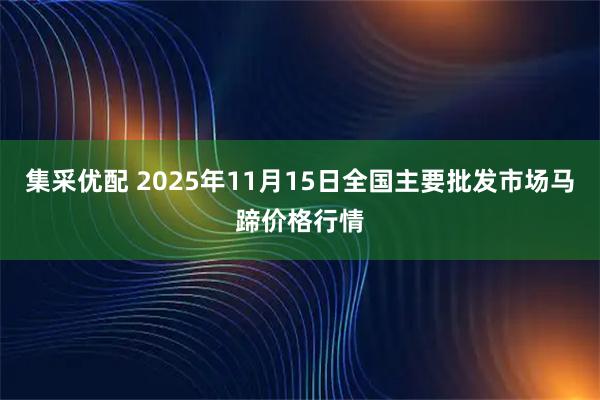 集采优配 2025年11月15日全国主要批发市场马蹄价格行情